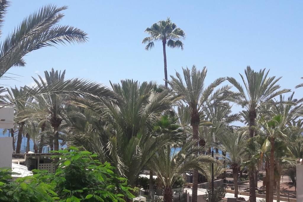 Guayero, Bel Appartement A 50M De La Mer Los Cristianos  Zewnętrze zdjęcie